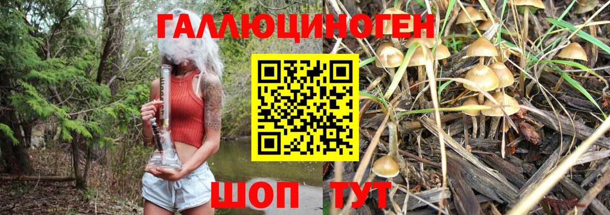 Урус-Мартан  Псилоцибиновые грибы MAGIC MUSHROOMS  как найти наркотики  Вход с VPN  Псилоцибиновые грибы MAGIC MUSHROOMS 